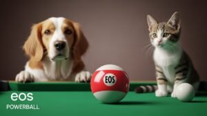 (믿음 안전) EOS파워볼,EOS 파워볼 보는 방법